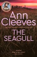 Seagull
