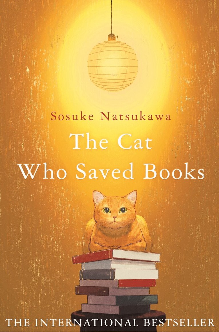 Sosuke Natsukawa - Cat Who Saved Books, E-bok