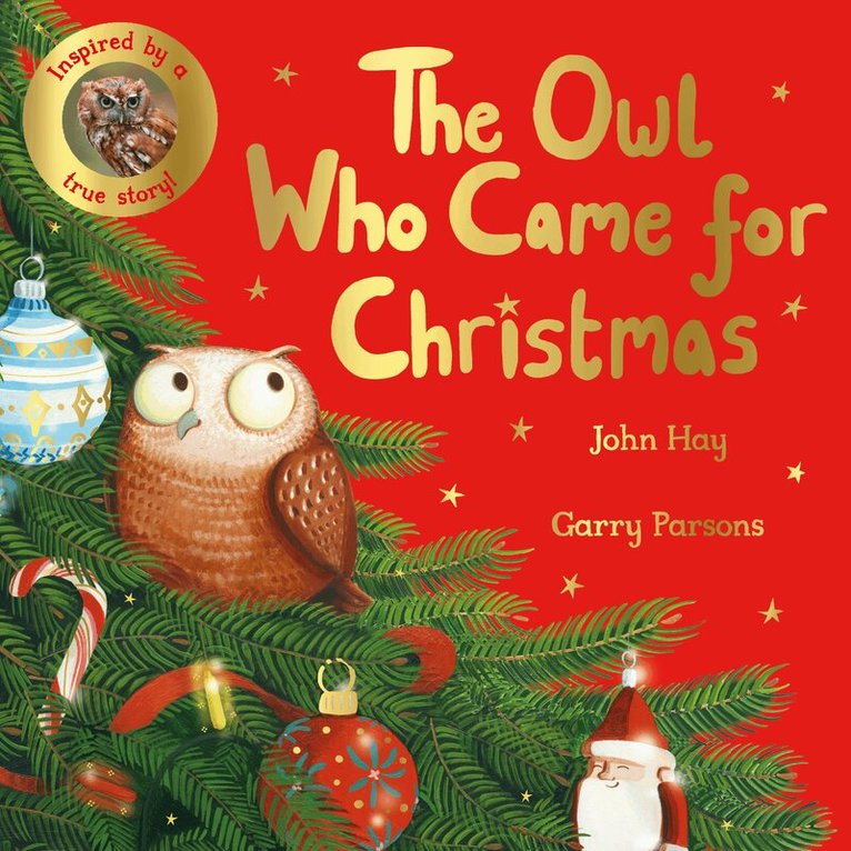 John Hay - Owl Who Came for Christmas, Häftad