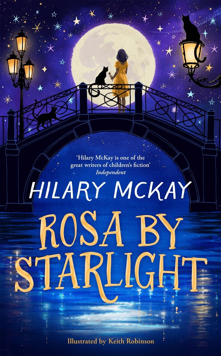 Hilary McKay - Rosa By Starlight, E-bok