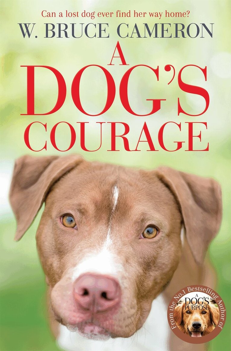 W. Bruce Cameron - Dog's Courage, E-bok