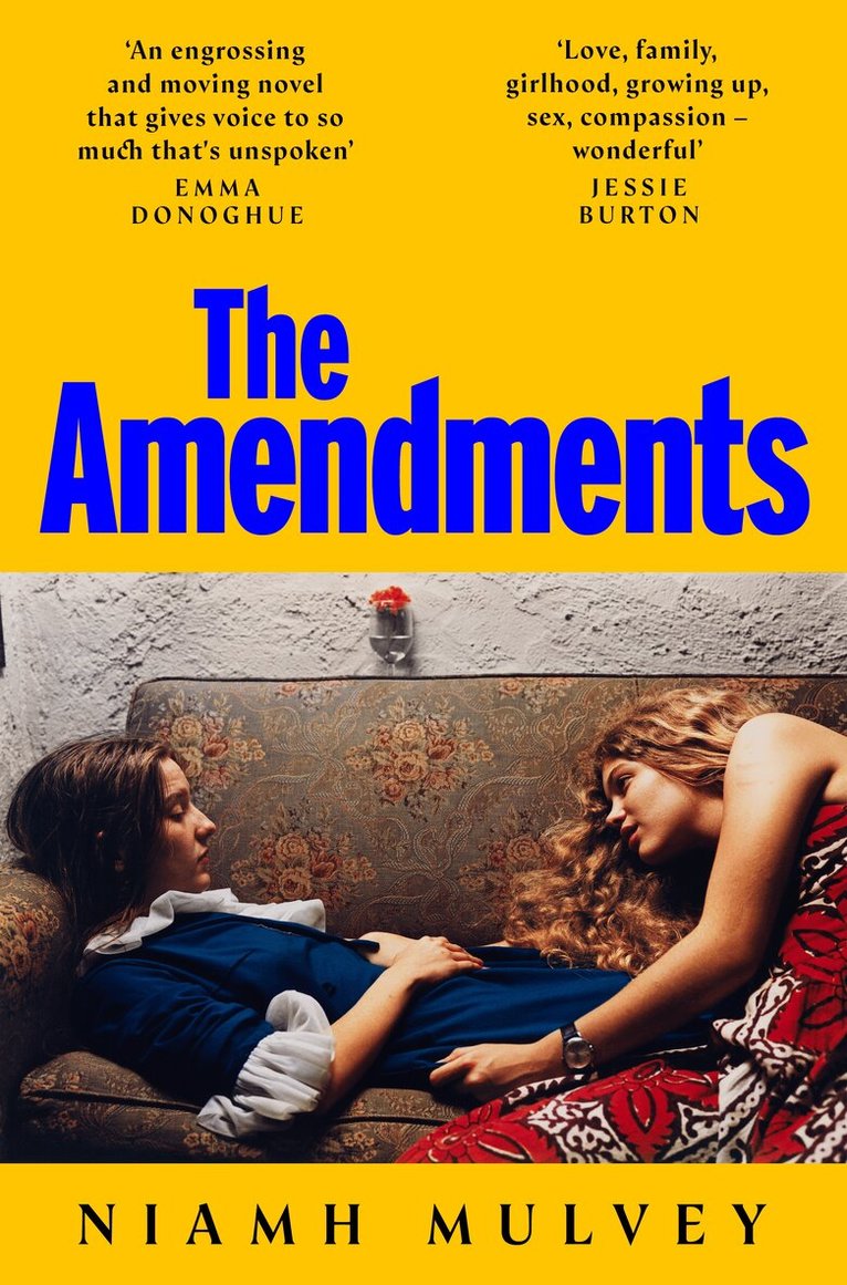 Niamh Mulvey - Amendments, E-bok