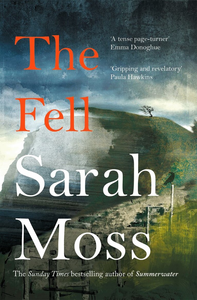 Sarah Moss - Fell, E-bok