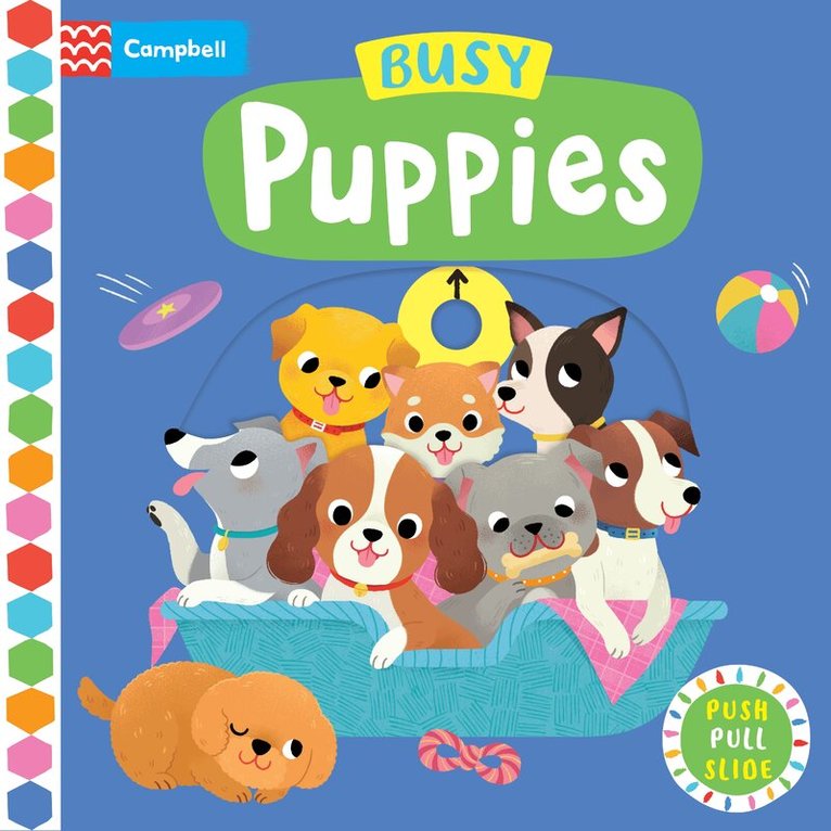 Campbell Books - Busy Puppies, Kartonnage
