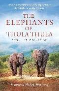 Elephants Of Thula Thula
