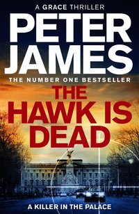 Hawk Is Dead