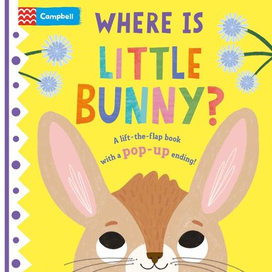 Campbell Books - Where is Little Bunny?, Kartonnage