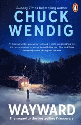 Chuck Wendig - Wayward, Häftad