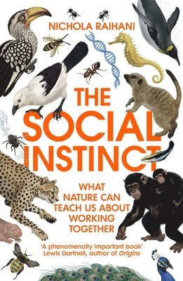 Nichola Raihani - Social Instinct, Häftad