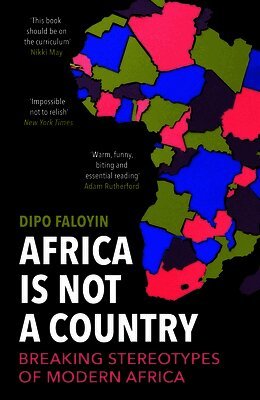 Dipo Faloyin - Africa Is Not A Country, Häftad