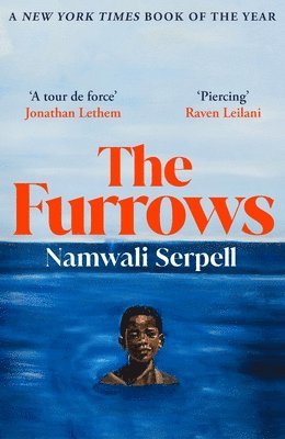 Furrows av Namwali Serpell