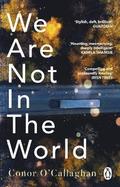 We Are Not in the World