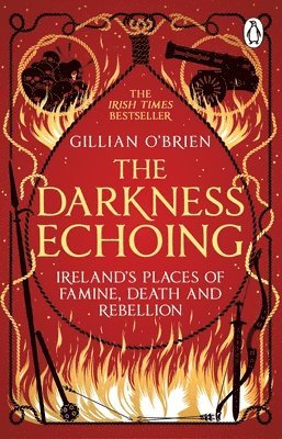 Dr Gillian O'Brien - Darkness Echoing, Häftad