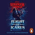 Stranger Things: Flight of Icarus