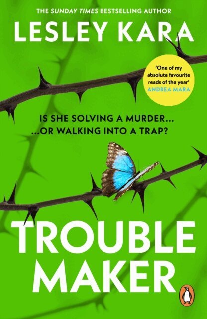 Lesley Kara - Troublemaker, E-bok