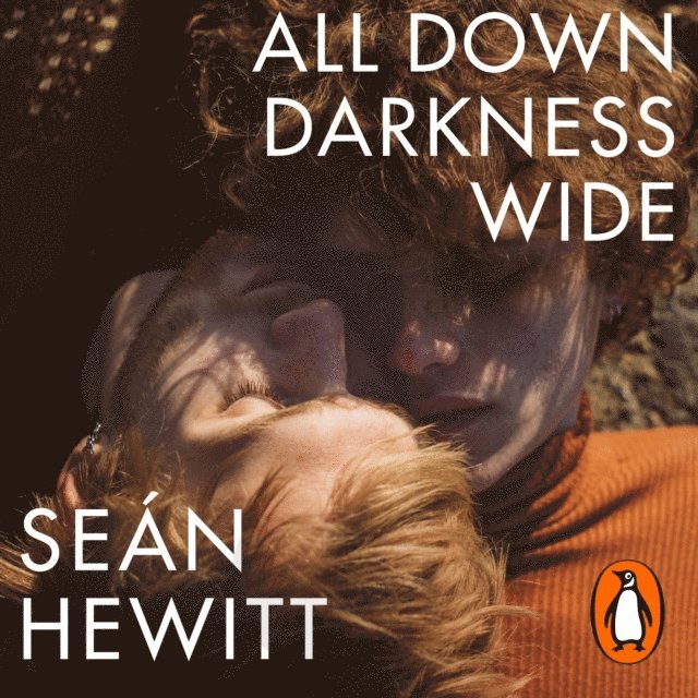 Sean Hewitt - All Down Darkness Wide, Ljudbok