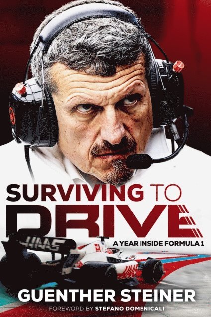 Guenther Steiner - Surviving to Drive, E-bok