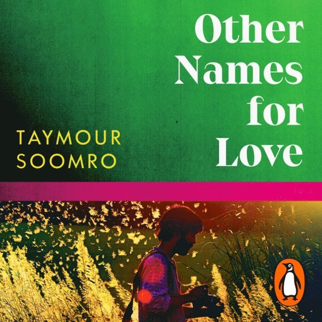 Taymour Soomro - Other Names for Love, Ljudbok