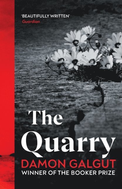 Damon Galgut - Quarry, E-bok