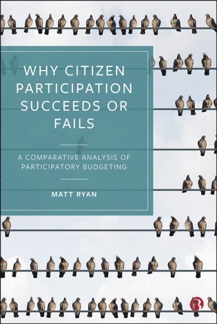 Matt Ryan - Why Citizen Participation Succeeds or Fails, E-bok