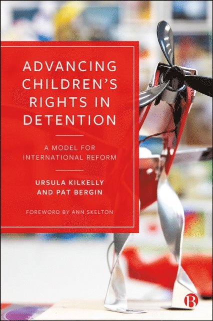 Pat Bergin, Ursula Kilkelly - Advancing Children's Rights in Detention, E-bok