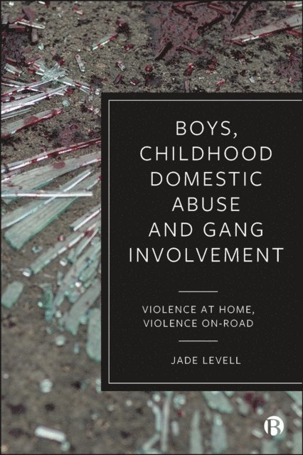 Jade Levell - Boys, Childhood Domestic Abuse and Gang Involvement, E-bok