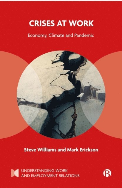Mark Erickson, Steve Williams - Crises at Work, E-bok