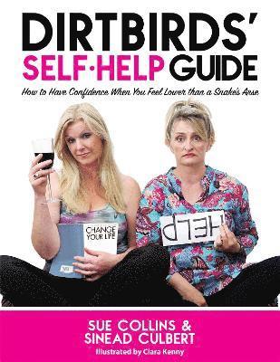 Sue Collins, Sinead Culbert - DirtBirds' Self-Help Guide, Inbunden