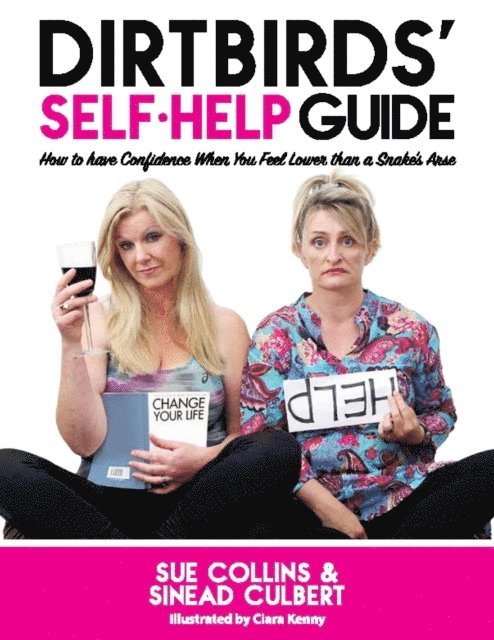 Sinead Culbert, Sue Collins - DirtBirds' Self-Help Guide, E-bok