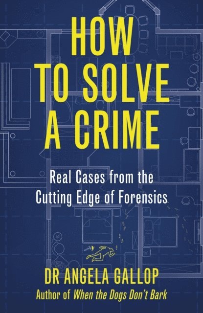 Angela Gallop - How to Solve a Crime, E-bok