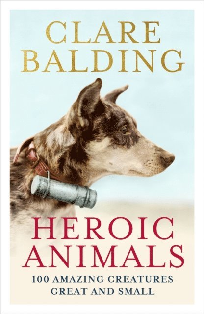 Clare Balding - Heroic Animals, E-bok