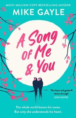 Mike Gayle - Song of Me and You, Häftad