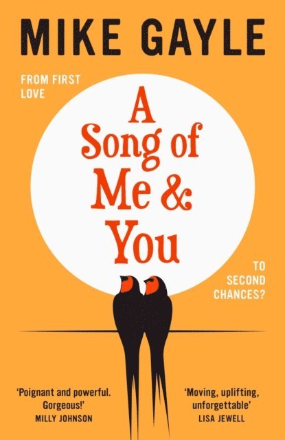 Mike Gayle - Song of Me and You, E-bok