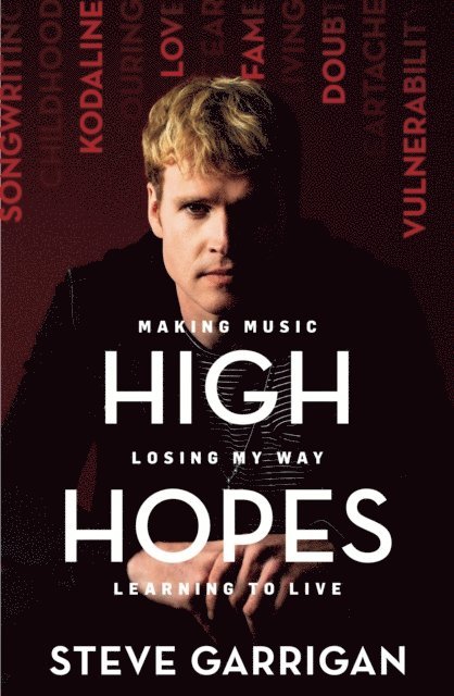 Steve Garrigan - High Hopes, E-bok