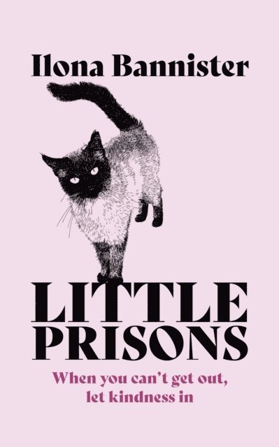 Ilona Bannister - Little Prisons, E-bok