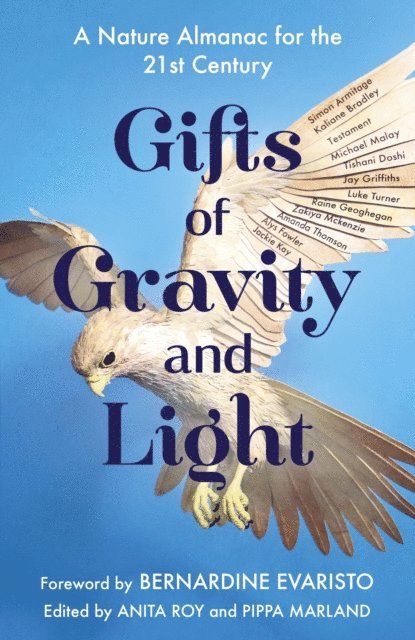Pippa Marland, Anita Roy - Gifts of Gravity and Light, E-bok