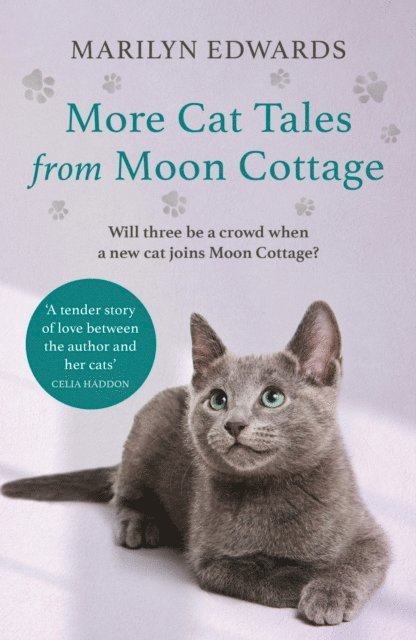 Marilyn Edwards - More Cat Tales From Moon Cottage, E-bok