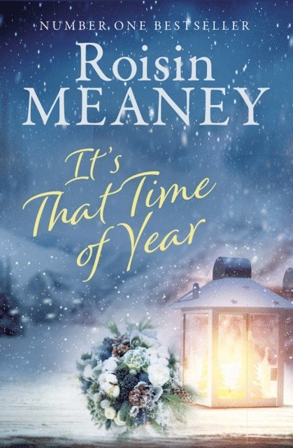 Roisin Meaney - It's That Time of Year, E-bok