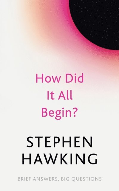 Stephen Hawking - How Did It All Begin?, E-bok