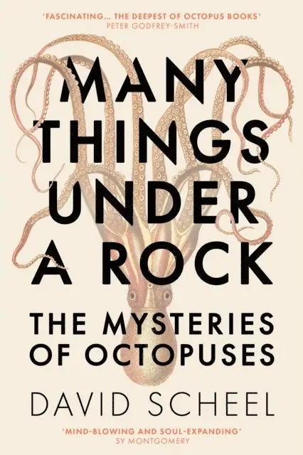 David Scheel - Many Things Under a Rock, E-bok. Tillgänglighet: Lägg i varukorg