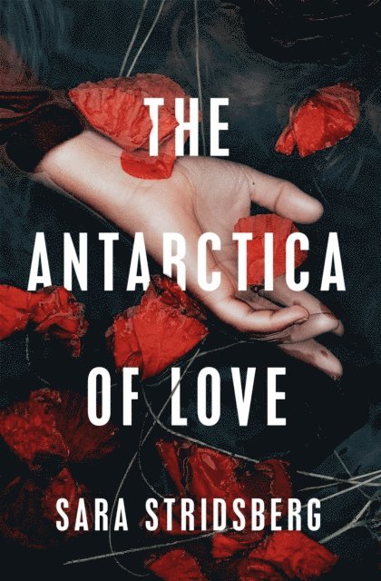 Sara Stridsberg - Antarctica of Love, E-bok
