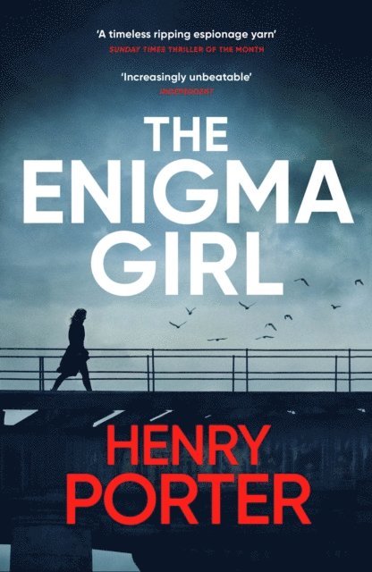Henry Porter - Enigma Girl, E-bok