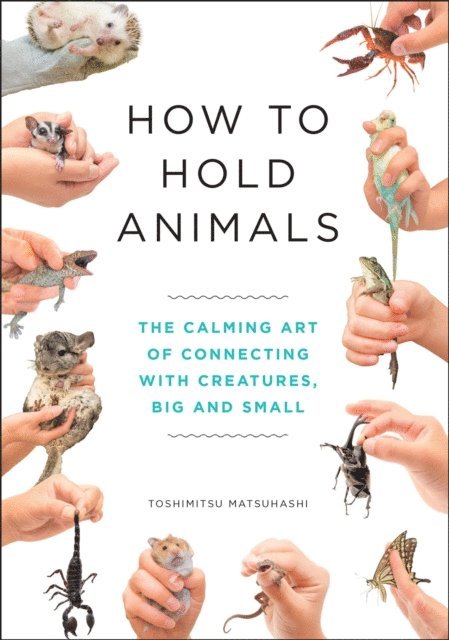 Toshimitsu Matsuhashi - How to Hold Animals, E-bok
