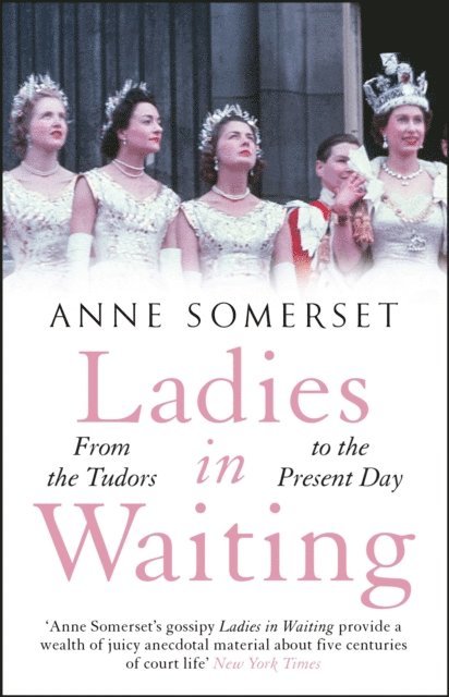 Anne Somerset - Ladies in Waiting, E-bok