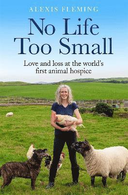 Alexis Fleming - No Life Too Small, Inbunden