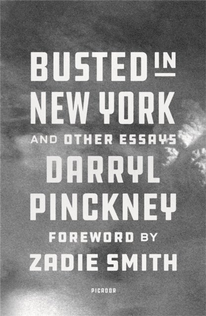 Darryl Pinckney - Busted in New York & Other Essays, E-bok