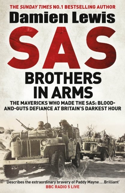 Damien Lewis - SAS Brothers in Arms, E-bok