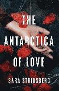 Antarctica Of Love