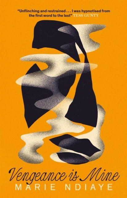 Marie NDiaye - Vengeance is Mine, E-bok