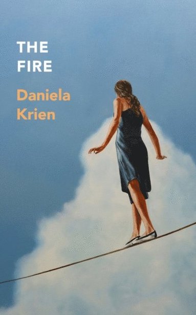 Daniela Krien - Fire, E-bok